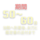 期間50～60日（当館への荷物到着から）